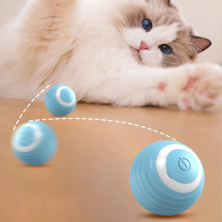 Interactive Ball Toy, Electronics for Dogs and Cats