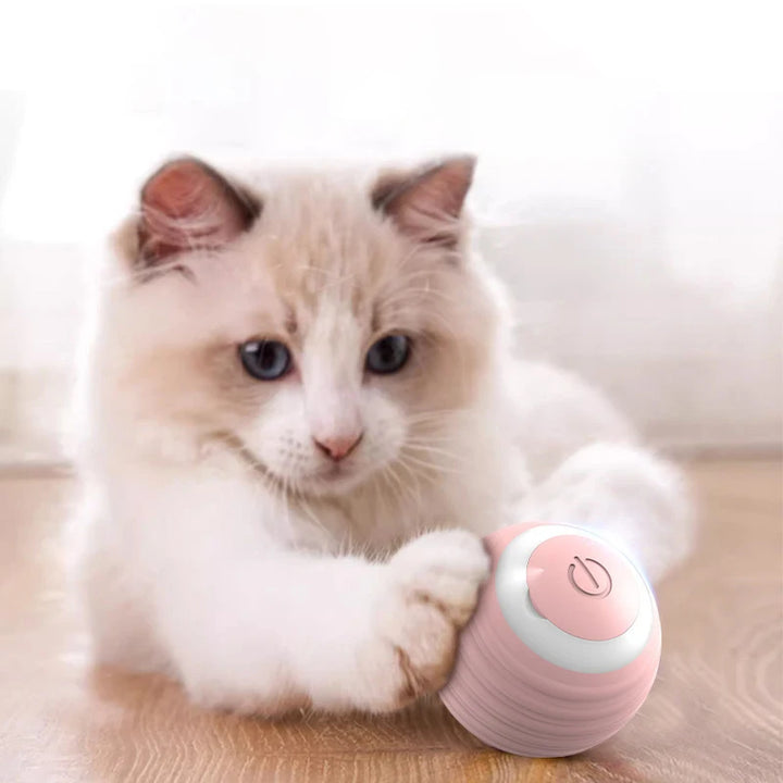 Interactive Ball Toy, Electronics for Dogs and Cats