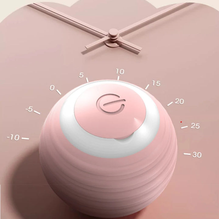 Interactive Ball Toy, Electronics for Dogs and Cats